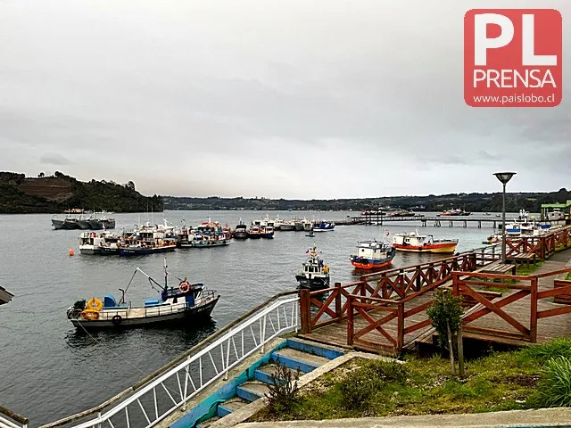 Estudio de factibilidad para construcción de puente en el Canal Dalcahue