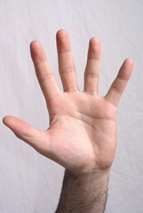 Hand_Stock_1_by_lindowyn_stock