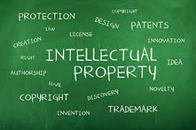 Notification of Other Intellectual Property (“IP”) Infringement