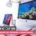 Fish and Corals | sfondi animati per Windows a tema marino