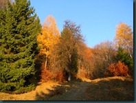 DSCN0657