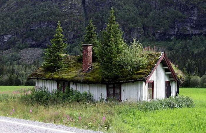 30 Astonishing Pictures Show That Nature Can Win The Battle Against Civilization