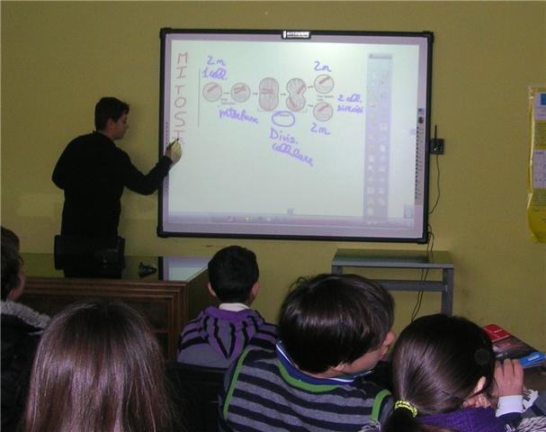 Animal Cell Diagram Not Labeled. Animal+cell+diagram+for+