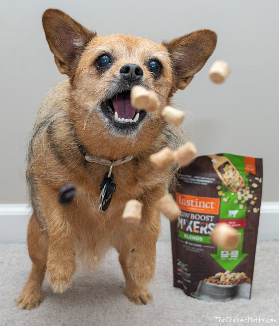 Mini Review: Instinct Raw Boost Mixers Blends Dog Food Topper