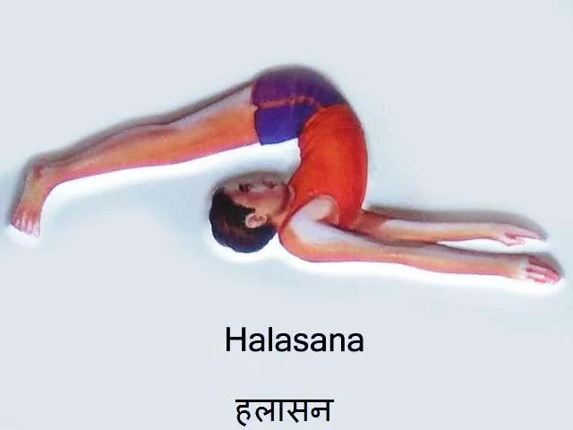 Halasana: Halasana in Hindi