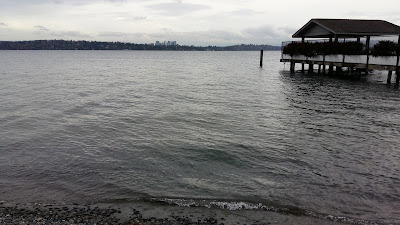 washington-lake-seattle.jpg