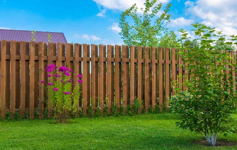 Eco-Friendly Fencing Options