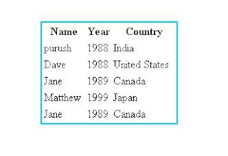 table border using CSS