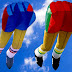 Stunt kites, parafoil kites, kite store, kites for sale, power kite, traction kites