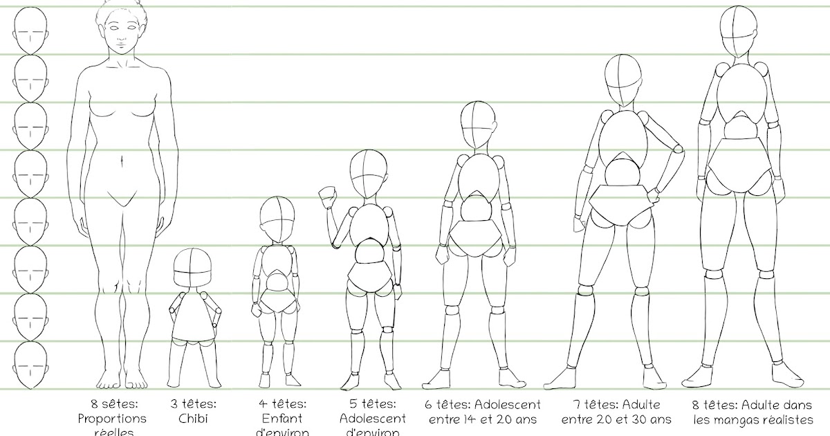 Les Cours Mangas Dinari Sensei Tutoriel Les Proportions