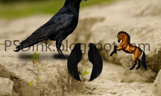 Photomanipulations: Cara membuat "Crow is King" dengan Photoshop