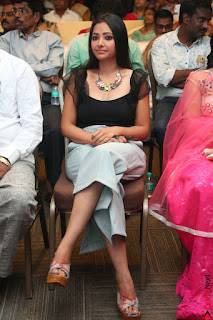 Swetha Basu in a Black Sleeveless Top Long Skirt at Mixture Potlam Movie Audio Launch 011.JPG