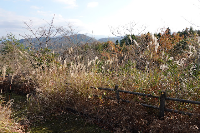 鳥取県西伯郡南部町上中谷 緑水湖展望広場からの眺望