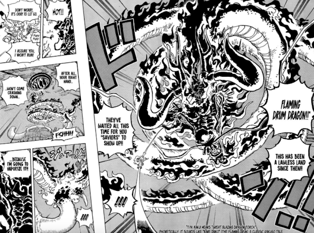 One Piece: Kaido's Devil Fruit Can't Awakening?