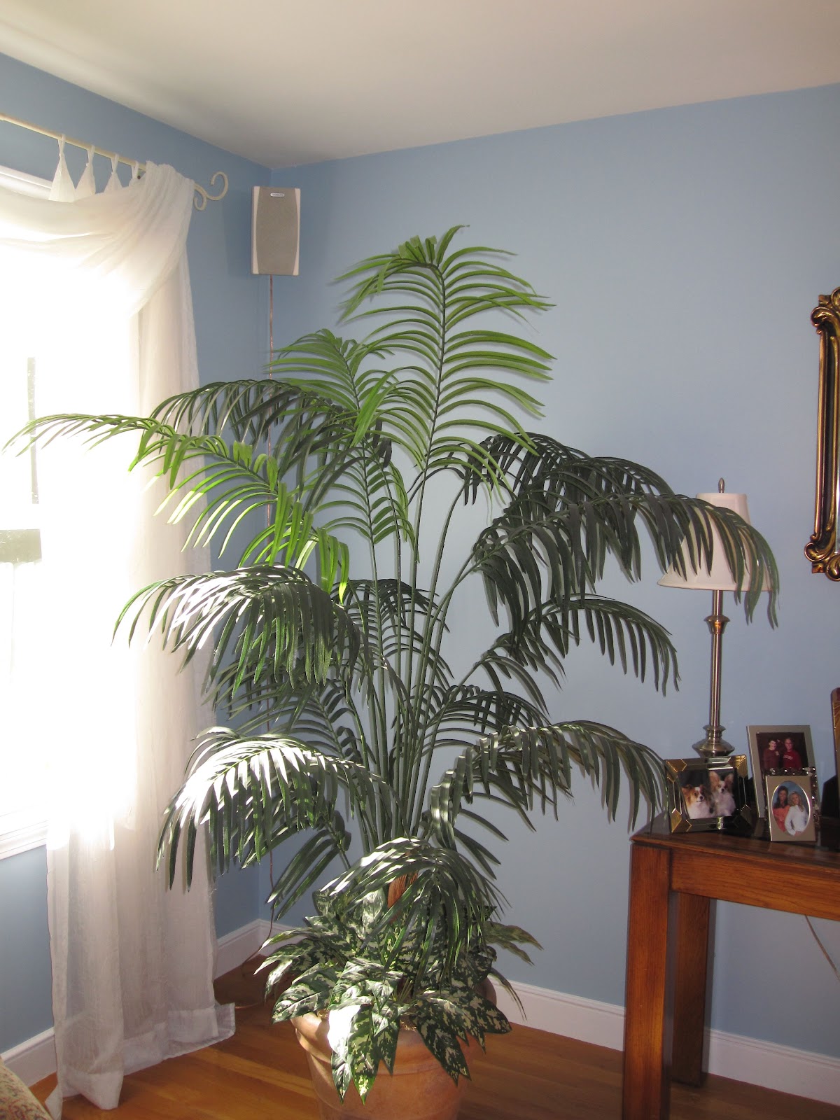 plants in room 2022 Grasscloth Wallpaper