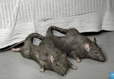 Most Disturbing Shoe: The Rat Shoe