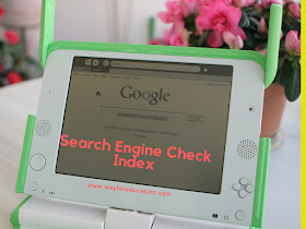 Search engine index check