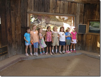 Zoo 017