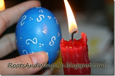 IMG_8569_thumb[1]