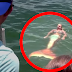 Mermaids Caught on Camera in Real Life ! 