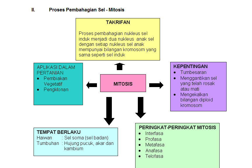 Contoh Jurnal Guru Praktikum - Mathieu Comp. Sci.