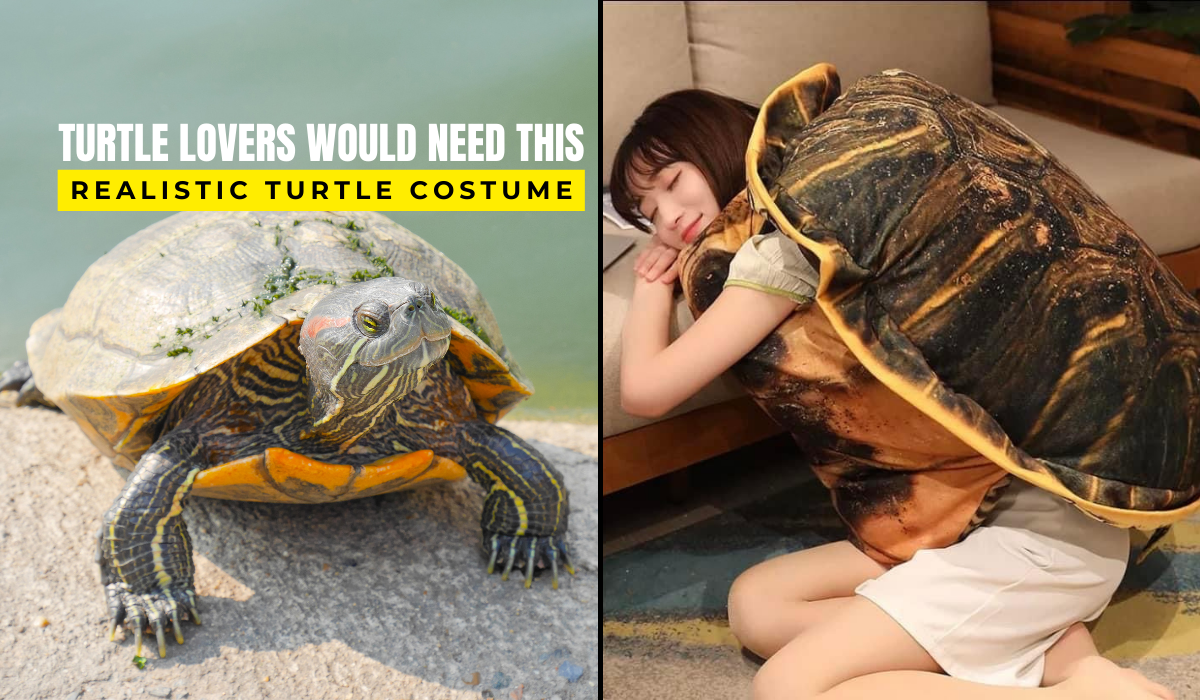 Turtle Shell Costume Cushion : Turn into a turtle instantly