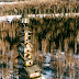 A Towering Home in the Alaskan Wilderness Looks Like Something Right out of a Dr. Seuss Book