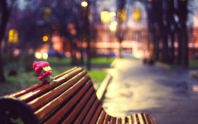 Danbo on Bench