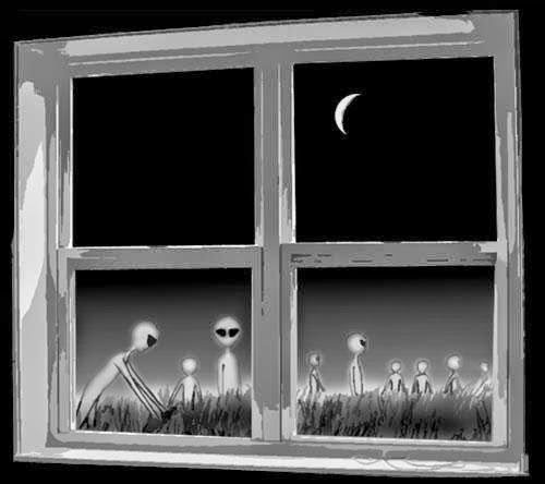 Comox British Columbia Multiple Ufo Witnessed Second Report On This