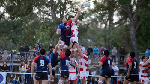 Se juega el clásico santiagueño, entre Lawn Tennis y Old Lions