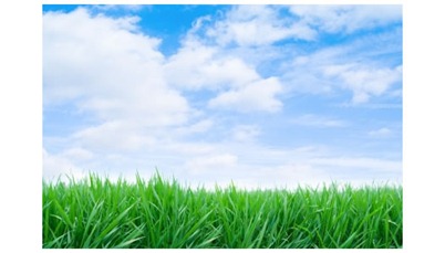 green-grass-blue-sky