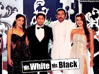 Mr. White Mr. Black (2008) movie wallpapers - 12