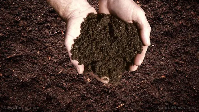 Soil Metals Linked With Cancer Mortality