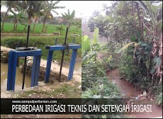 PERBEDAAN SAWAH IRIGASI TEKNIS DAN SETENGAH TEKNIS