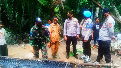 Buaya Panjang 5 Meter Ditangkap Warga Sungai Selan