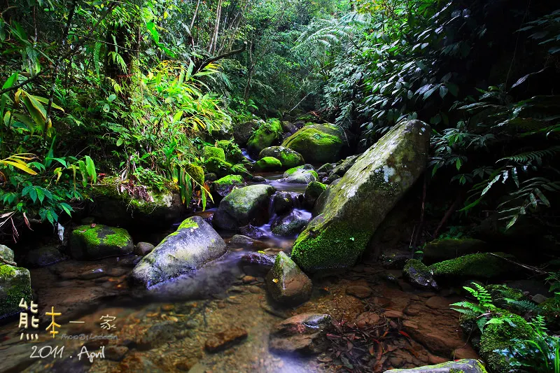 三峽景觀餐廳下午茶|216莊園咖啡