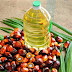 Palm slips on weaker China Dalian oils, profit-taking