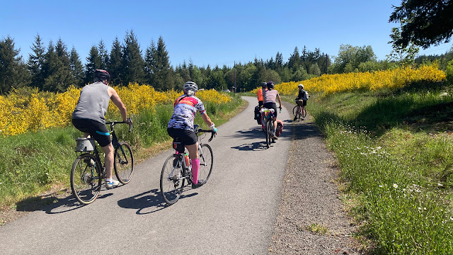 Five cyclists in colorful clothing ride facing away from the camera on a clear day. They are on a shared use path lined with gravel and goldenrod, and coniferous trees are visible just ahead of them.