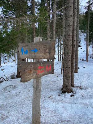 Passeggiata sulla neve parco Gigante Baranci