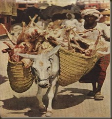 foto-haji-1953-c