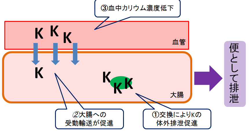 ケイキサレートやアーガメイトの食事の影響 薬局業務note