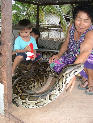 15-Foot Python as a Pet