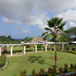 View album