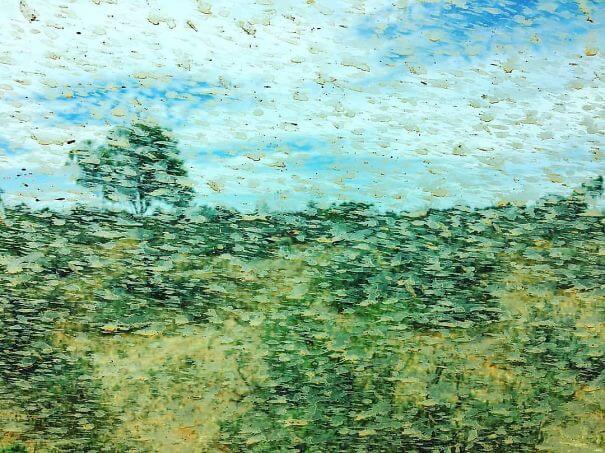 20 Pictures Prove That 'Accidental' Art Can Be Astonishing - Mud Spatters On The Car Window Created An Accidental Monet On My Friend's Outback Road Trip