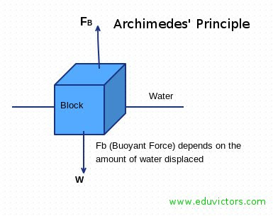 CBSE Class 9 - Floatation - 7 Simple Numerical You Must Know