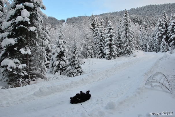 Winter 022