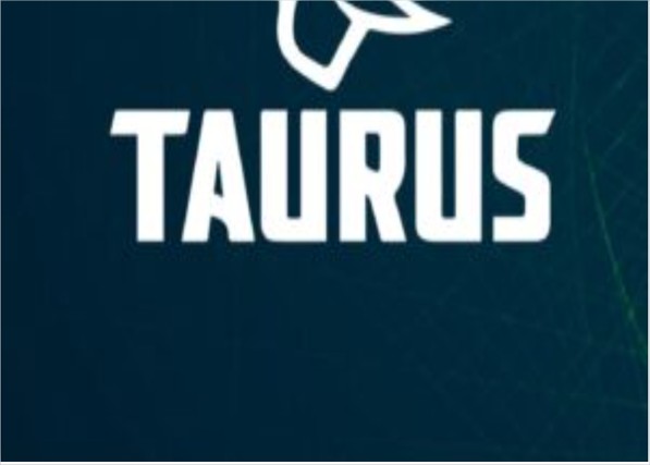 Análise Fundamentalista da Taurus Armas: Vale a Pena Investir?