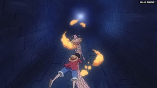 ワンピースアニメ ドレスローザ編 630話 モモの助 龍 ルフィ Monkey D. Luffy | ONE PIECE Episode 630