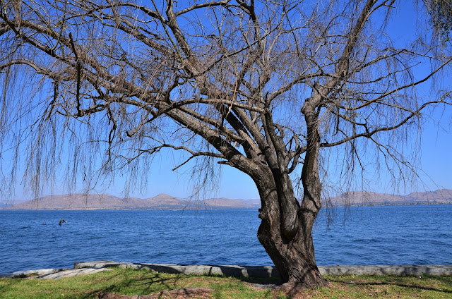 Picnic at Hartbeespoort Dam #SouthAfrica #PhotoYatra #TheLifesWayCaptures