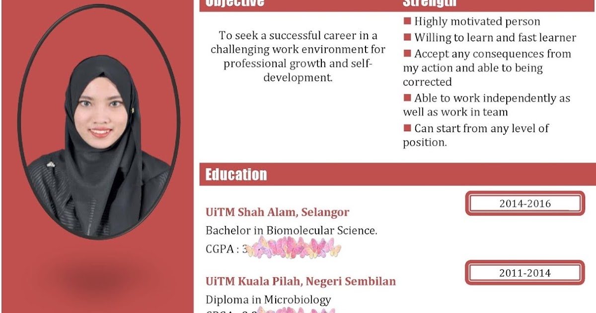 Contoh Resume Ringkas Lifetime Thesis